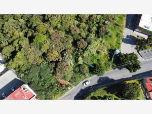 Terreno en venta en Lomas de Ahuatlán, Cuernavaca — foto 2 de 5