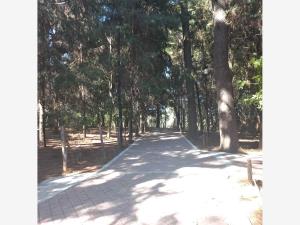 Terreno en venta en Jardines de Ahuatlán, Cuernavaca — foto 3 de 9