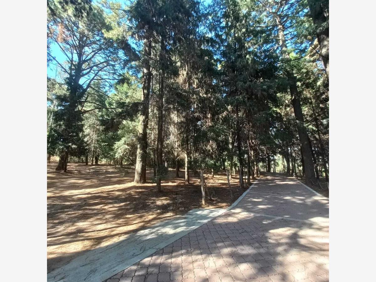 Terreno en venta en Jardines de Ahuatlán, Cuernavaca — foto 1 de 9