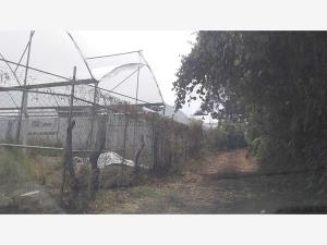 Terreno en venta en Lomas de Ahuatlán, Cuernavaca — foto 3 de 12