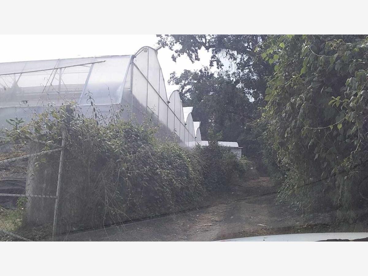 Terreno en venta en Lomas de Ahuatlán, Cuernavaca — foto 1 de 12
