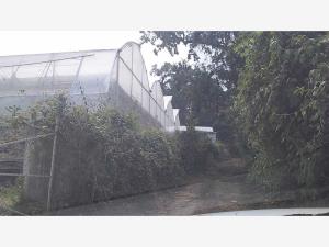 Terreno en venta en Lomas de Ahuatlán, Cuernavaca, Morelos Terreno en venta en Lomas de Ahuatlán, Cuernavaca, Morelos