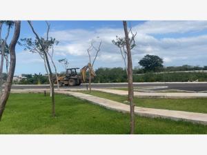 Terreno en venta en Motul de Carrillo Puerto Centro, Motul — foto 2 de 20