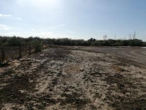 Terreno en renta en Matamoros Centro, Matamoros — foto 3 de 7