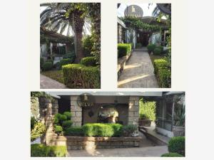 Casa en venta en El Sáuz, Saltillo — foto 2 de 31