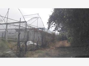 Terreno en venta en Lomas de Ahuatlán, Cuernavaca — foto 2 de 12