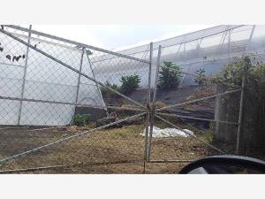Terreno en venta en Lomas de Ahuatlán, Cuernavaca — foto 3 de 12
