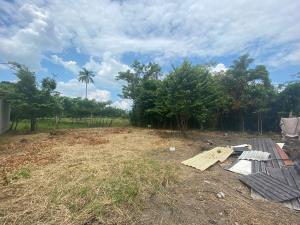 Terreno en venta en Sur 4ta. Seccion, Comalcalco — foto 3 de 3