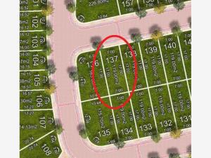 Terreno en venta en Arroyo Hondo, Corregidora — foto 3 de 7