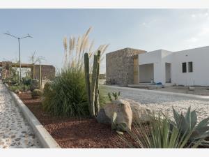 Terreno en venta en San Francisco, San Miguel de Allende — foto 3 de 25