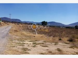 Terreno en venta en San Juan Tejaluca, Atlixco — foto 2 de 6