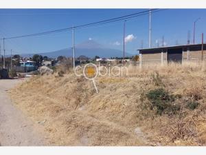 Terreno en venta en San Juan Tejaluca, Atlixco — foto 3 de 6
