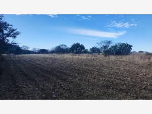Terreno en venta en Palmillas, San Juan del Río — foto 2 de 21