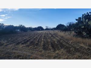 Terreno en venta en Palmillas, San Juan del Río — foto 3 de 21