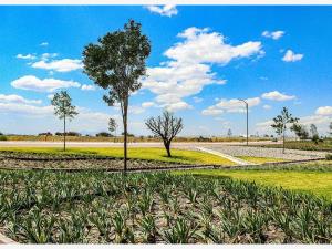 Terreno en venta en Arroyo Hondo, Corregidora — foto 2 de 6