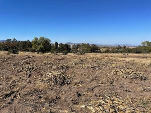 Terreno en venta en El Saucito, Amealco de Bonfil — foto 3 de 20