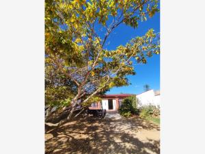 Casa en renta en Tlalixtac de Cabrera, Tlalixtac de Cabrera — foto 2 de 9
