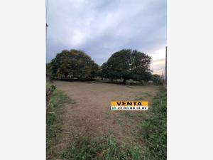 Terreno en venta en Jamapa, Jamapa — foto 2 de 4
