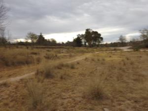 Terreno en venta en Santa María Nativitas, Aculco — foto 3 de 9