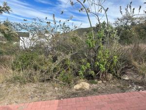 Terreno en venta en Ciudad Maderas Montaña, El Marqués — foto 3 de 3