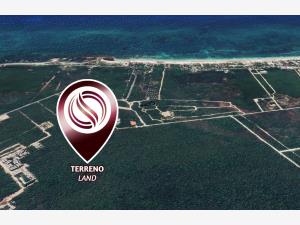 Terreno en venta en Tulum Centro, Tulum — foto 3 de 8