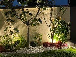 Casa en renta en Lomas de Cortes, Cuernavaca — foto 2 de 35