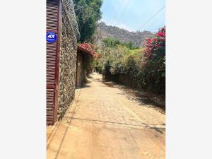 Terreno en venta en Santo Domingo, Tepoztlán — foto 2 de 16