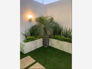 Casa en venta en Argenta Mirador Residencial, Zapopan — foto 3 de 6