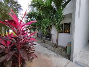 Departamento en renta en Jardines del Sur, Benito Juárez — foto 2 de 17