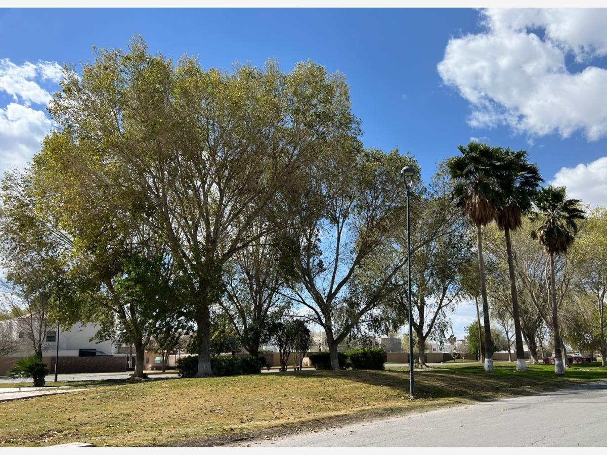 Terreno en Venta en Las Trojes, Torreón, Coahuila de Zaragoza