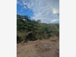 Terreno en venta en San Rafael Zaragoza, Tlaltizapán de Zapata — foto 2 de 3