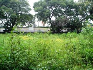 Terreno en venta en Chamilpa, Cuernavaca — foto 3 de 11