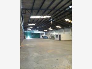 Bodega en renta en Alta Cuauhtemoc, Acapulco de Juárez — foto 2 de 12