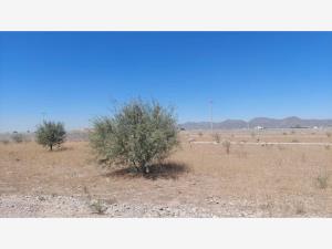 Terreno en venta en Noria de Compuertas (El Ranchito), Matamoros — foto 2 de 6