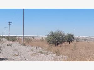 Terreno en venta en Noria de Compuertas (El Ranchito), Matamoros — foto 3 de 6