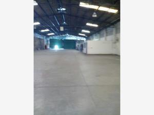 Bodega en renta en Marroquín, Acapulco de Juárez — foto 2 de 10