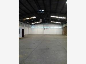 Bodega en renta en Marroquín, Acapulco de Juárez — foto 3 de 10
