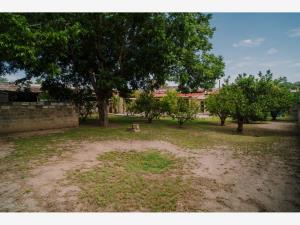 Casa en venta en La Bohemia, Linares — foto 3 de 20