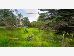 Casa en venta en San Salvador Cuauhtenco, Milpa Alta — foto 2 de 14