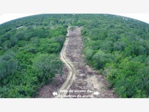 Terreno en venta en Komchen, Mérida — foto 2 de 5