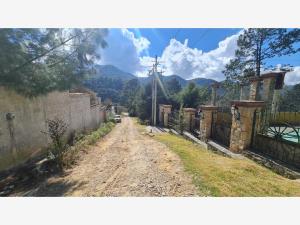 Terreno en venta en Corral de Piedra, San Cristóbal de las Casas — foto 3 de 12