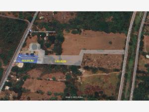 Terreno en venta en Mata de Pita, Veracruz, Veracruz de Ignacio de la Llave