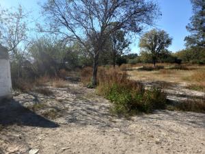 Terreno en venta en Los Siller, Saltillo — foto 2 de 4