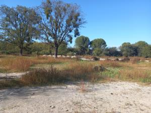 Terreno en venta en Los Siller, Saltillo — foto 3 de 4