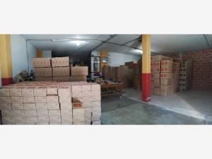 Bodega en venta en San Miguel, San Mateo Atenco — foto 2 de 6