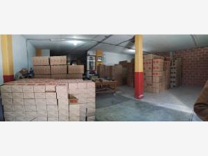 Bodega en venta en San Miguel, San Mateo Atenco — foto 3 de 6