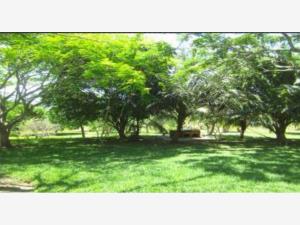 Finca-Rancho en venta en La Camelia, Tuxpan — foto 2 de 9