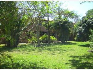 Finca-Rancho en venta en La Camelia, Tuxpan — foto 3 de 9