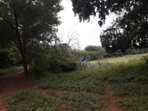Finca-Rancho en venta en La Palma, Acayucan — foto 3 de 12
