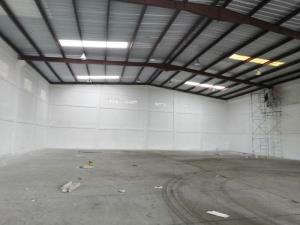 Bodega en renta en Lorenzo Barcelata, Veracruz — foto 3 de 5